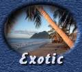 Exotic beachs